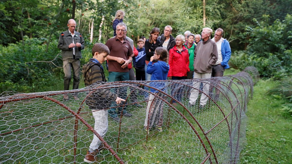 - - Ontdek eendenkooi Terheijden